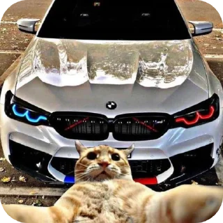 🚗