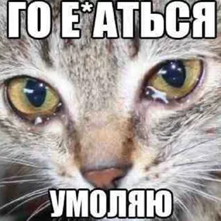 😪