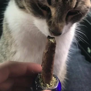 💨