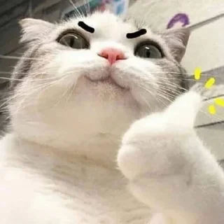 👍