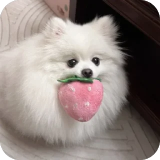 🍓