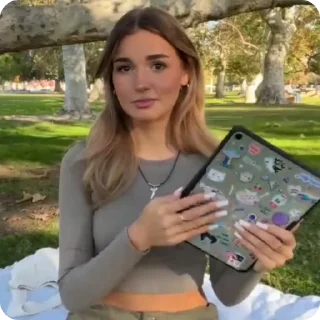 🐢