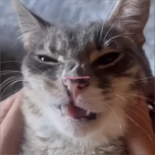 😳