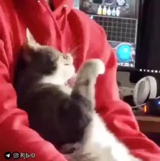 🙄