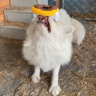 🤕