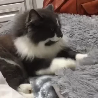 💕