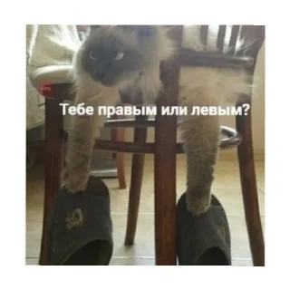😡