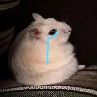 😢