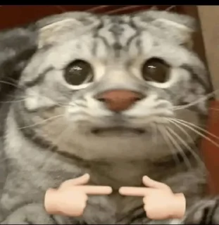 😔