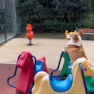 🐕