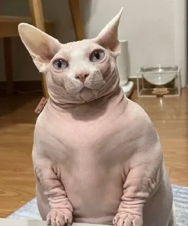 🤨