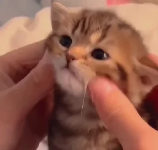 ☺️