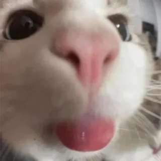 😛