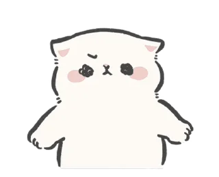 🐱