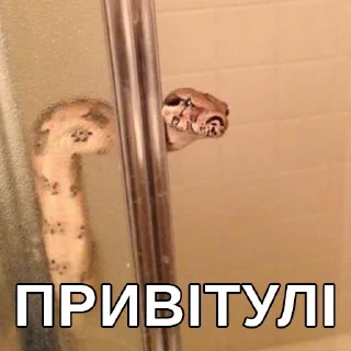 👀