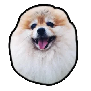😃