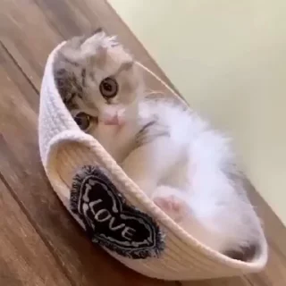 🙃