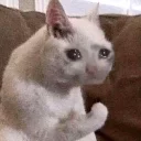 😢