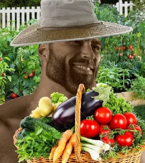 👨‍🌾