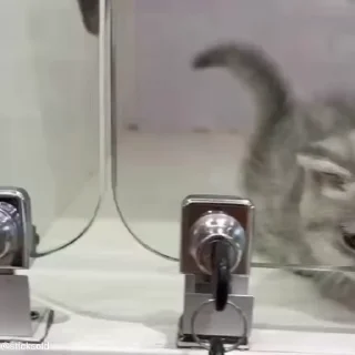 😱