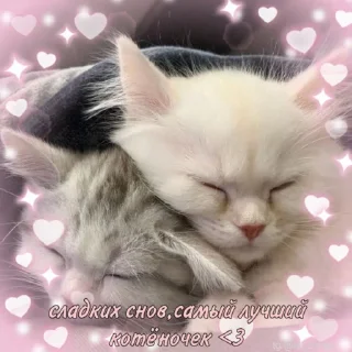 💞