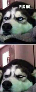 😄