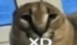 😹