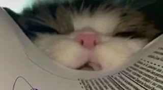 🙂
