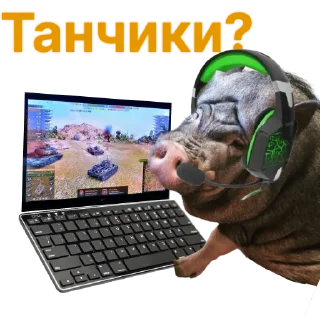 🫡