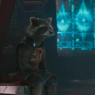 🦝