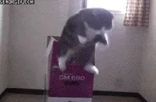 🤯