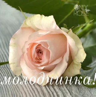 👍