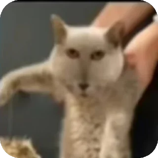 👍