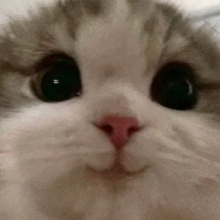 ☺️