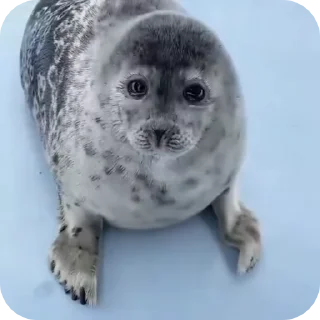 👋