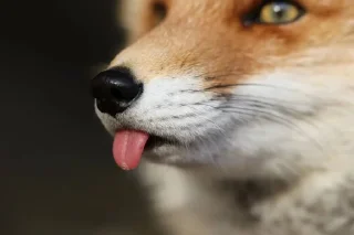😛