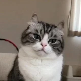 🥰