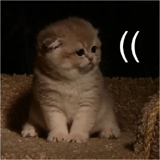 ☹️