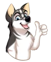 Huscai the Husky