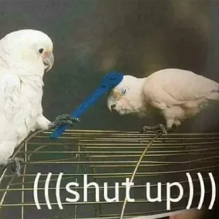 🤫