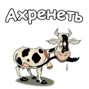 😱