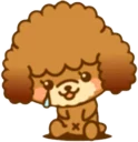 🐶
