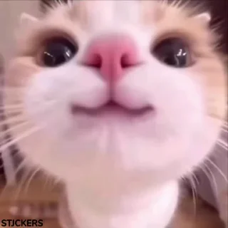🥹