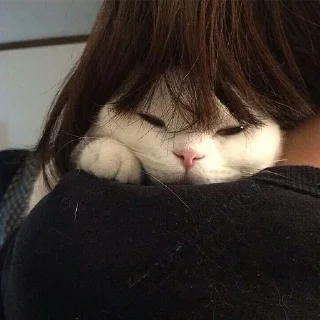 🐈