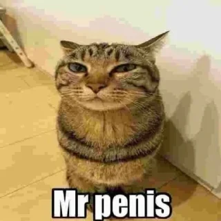 🍆