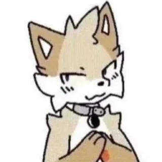 🐱