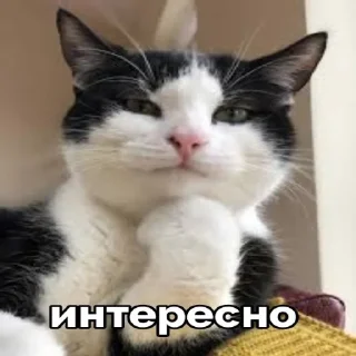 😏
