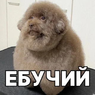 😩
