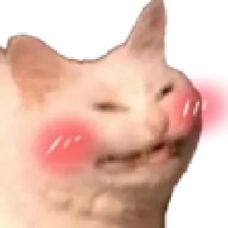 😚