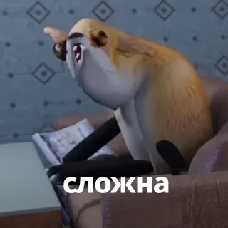 📦